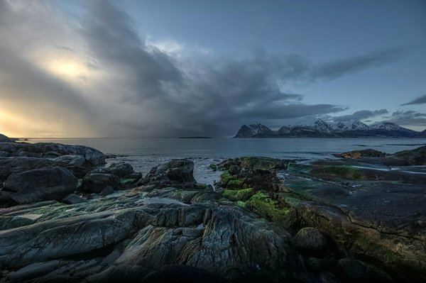 Comment organiser une expédition pour voir les lions dans le Serengeti, Tanzanie?